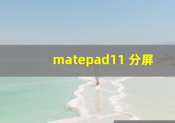 matepad11 分屏